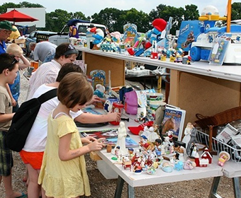 Outdoor Movie Night Under the Stars